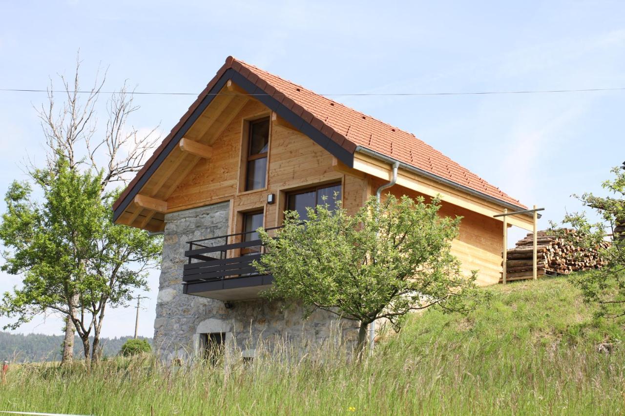 Le Chalet Des Pierres Viuz-en-Sallaz Ngoại thất bức ảnh