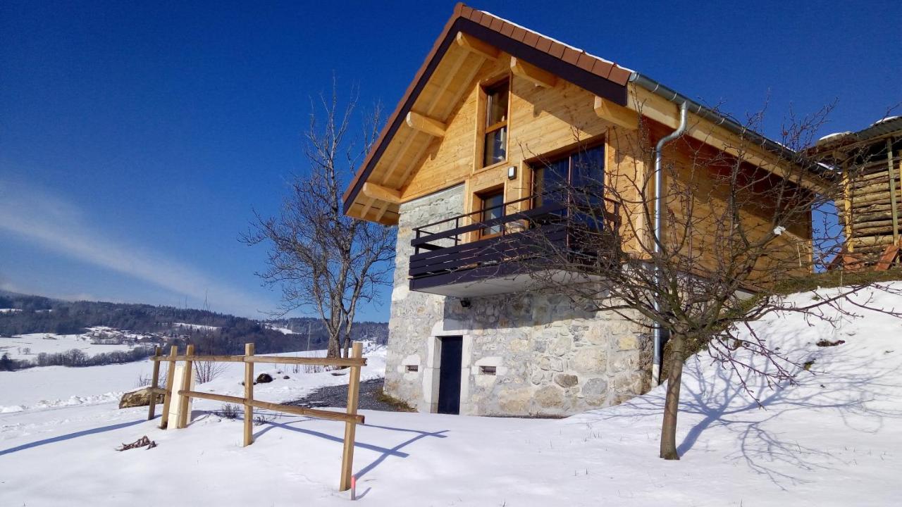 Le Chalet Des Pierres Viuz-en-Sallaz Ngoại thất bức ảnh